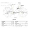 Elektrofahrrad DERUIZ Quartz 28'' 250W Motor City E-Bike - 48V 13,4Ah Akku Bis zu 161 km Reichweite, Hydraulische Bremsen, Drehmomentsensor, 8 Gänge, Zuladung 130 kg