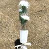 50Pcs Single Flower Flower Wrapping Bag Love Single Rose Sleeves New Bouquet Wrapper  Party Supplies