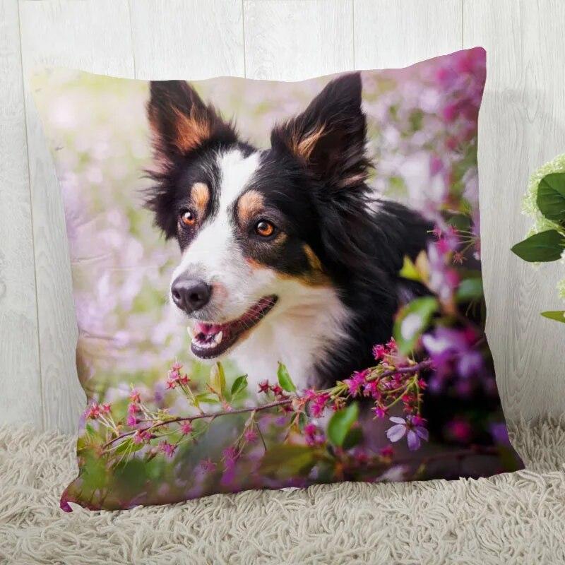 Pillowcase Border Collie  Modern Home Living Room Decor