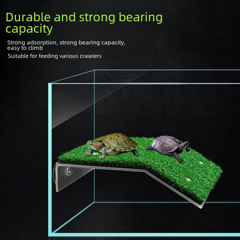 Brazilian Tortoise Climbing and Sunbathing Platform with Turf Ladder for Large Breeding Box