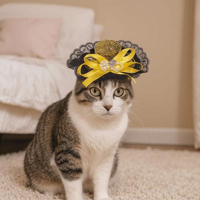 Kočky – Oblečení pro kočky