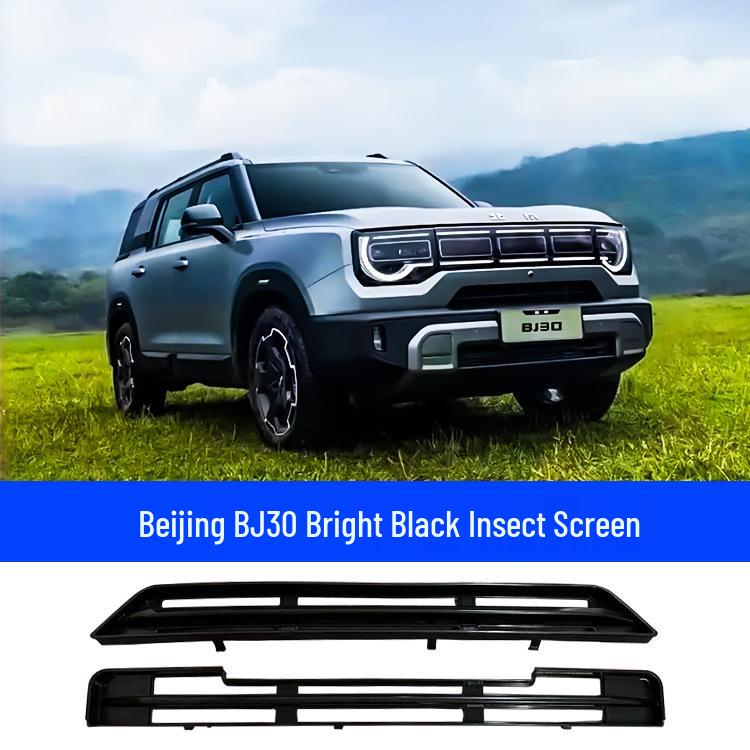 Beijing BJ30 Insect Protection Net for Grille