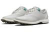 Jordan Adg 4 Golf Grey Fog DM0103-001