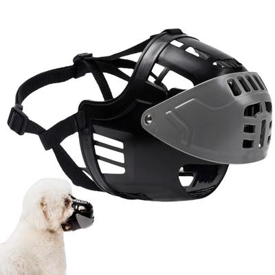 Köpek – Eğitim ve Öğretim Araçları
