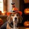 Adjustable Halloween Cat Hat Bow Tie Dog Wizard Hat Gift Pumpkin Bell Pet Hat  Festival Atmosphere