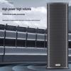 X-616 Professional Line Array Column Speaker