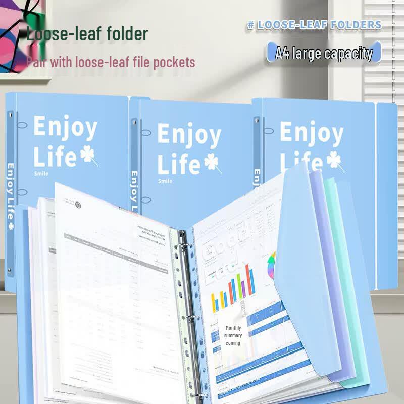 A4 Transparent Loose-Leaf File Folder