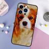 Cavalier King Charles Spaniel Hund Handyhülle Für iPhone 17 Air 17Pro Hülle Für Apple iPhone 17 Pro Max Hülle Funda