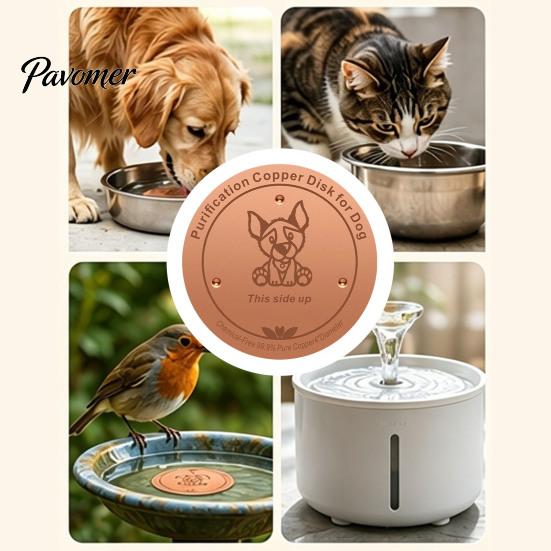 Pure Copper Disc for Dog Water Bowl Purification Dog, 4-Inch Diameter Disc, Raised Fountain with 3-Point Support Dispenser Durable