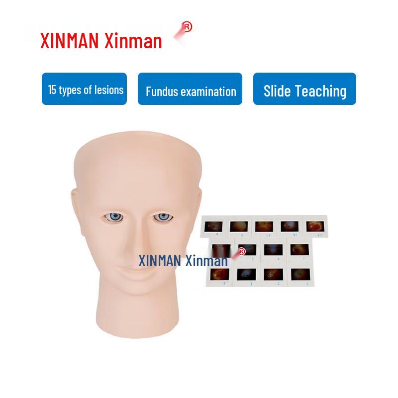 XINMAN Продвинутая модель для исследования поражений сетчатки