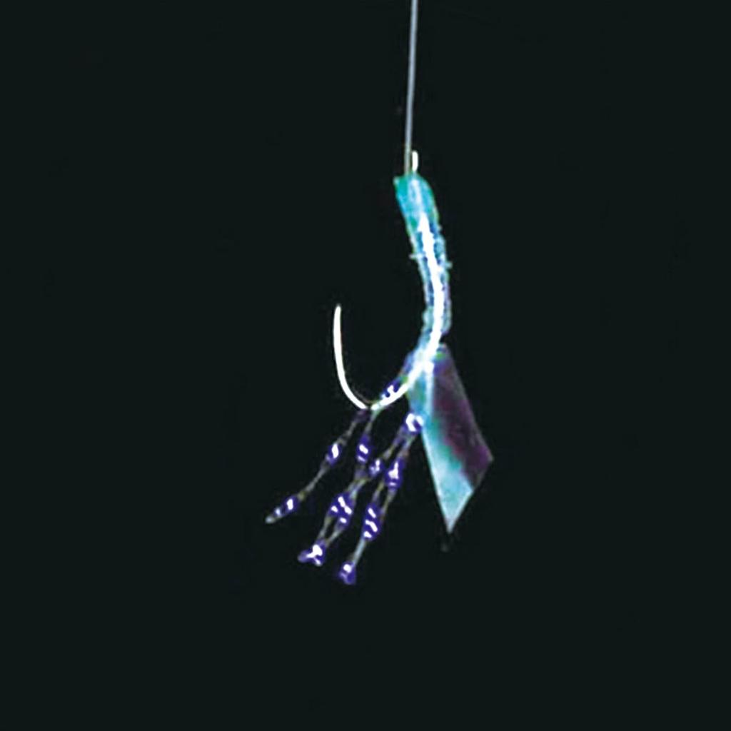Hayabusa  Hayabusa  Small Horse Mackerel Specialty 8 2 Keimura Rainbow