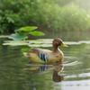 Lifelike Floating Duck Ornament Realistic Statue Waterproof Decor
