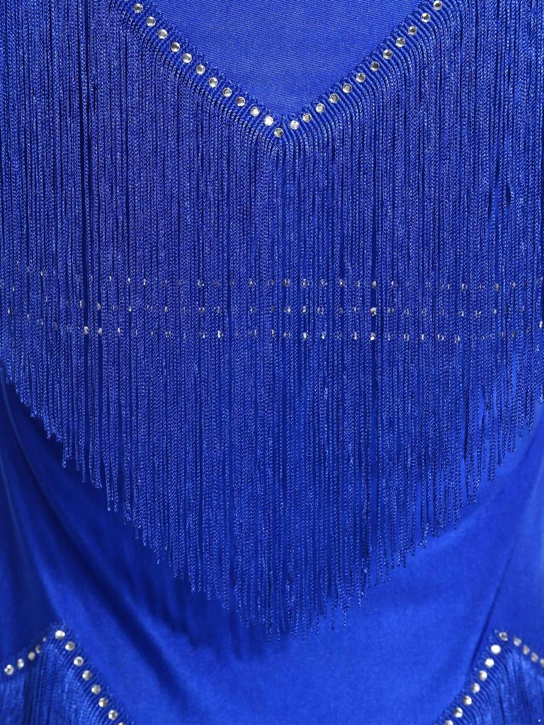 Ladies Glittery Sequin Dance Dress V Neck Half Sleeve Tiered Tassel Design Rhinestone Details Latin Cha Cha Tango Salsa Costume