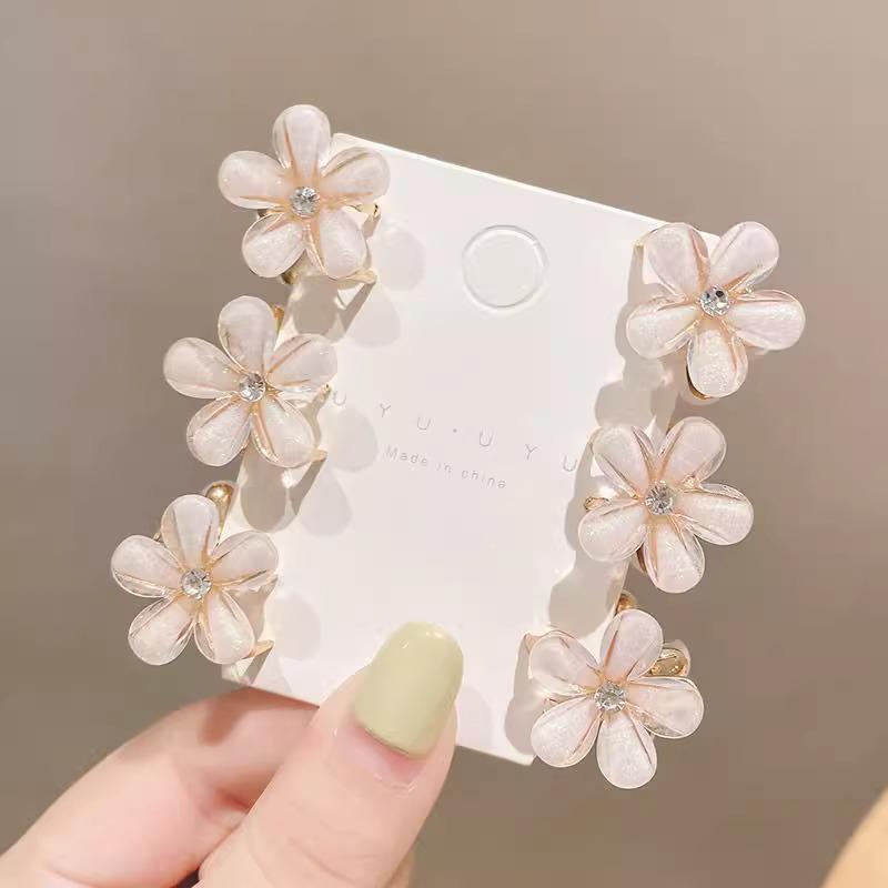 Princess Mini Claw Hair Clips for Women - Summer Side Bang Accessory