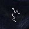 Earrings, Female Snake Shaped Earrings, Simple, Fashionable, Versatile, Niche Design, Light Luxury, High-end Earrings