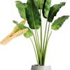 Wood Handle Leaf Cleaning Tongs Portable Plant Leaf Cleaning Tongs  Plant Accessories