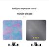 Rechargeable Waterproof Electric Heating Pad for Pets - Small Dogs & Cats, US Standard, Constant Temperature