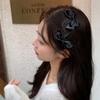 Satin Cloth Hair Clip Y2K Oval Hairpin Side Clip Bow BB Clip  School