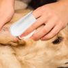 50Pcs/100Pcs Pet Cleaning Finger Cots - Disposable Finger Cots For Dogs And Cats, Tartar Removal, Ear Cleaning, Fresh Breath Essentials