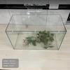 Coperchio per Acquario in Acrilico, Rete Anti-Salto, Tagliabile Fai-da-Te, Varie Misure, con Staffe 30x17cm