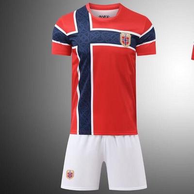 Norway 2026 World Cup Jersey Fan Version Same Style Soccer Shirt