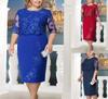 Evropské a americké dvoudílné šaty plus size s krajkovým prošíváním – Tři barvy