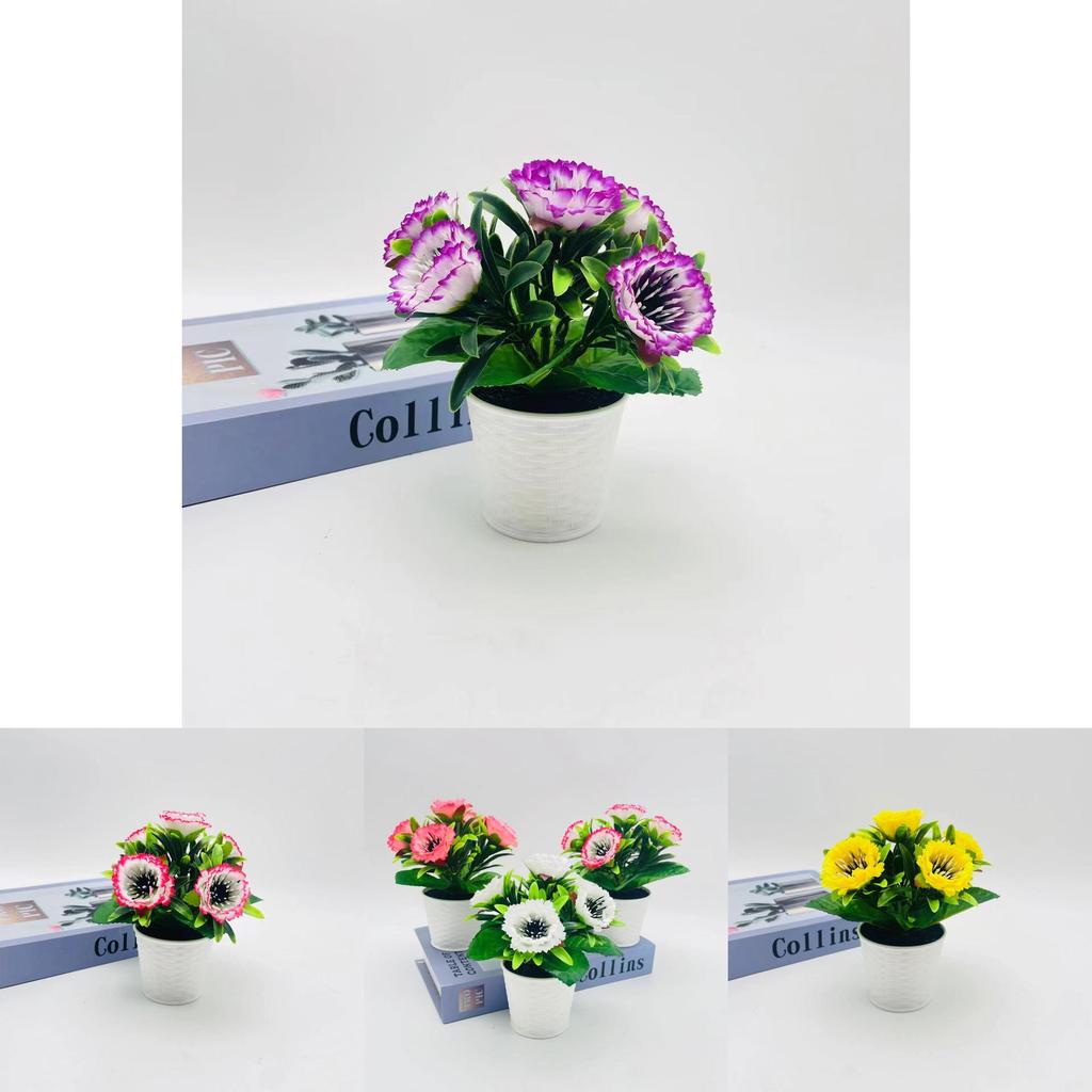 Miniature Peony Flower Plant For Studio Photography And Home Decoration