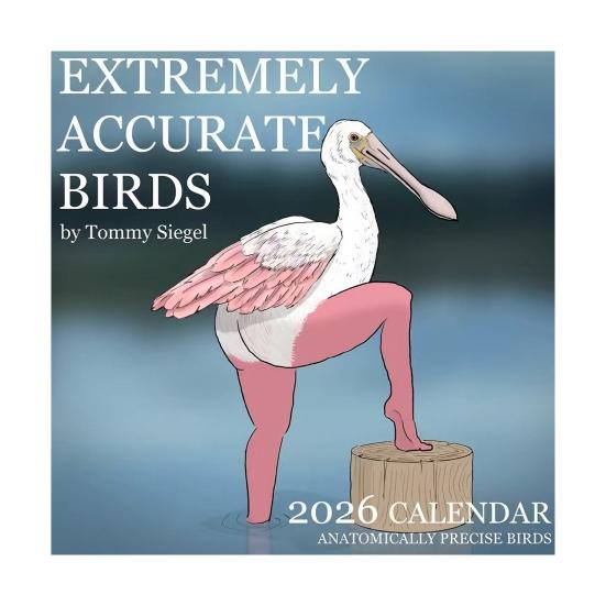 

2026 Wall Calendar Funny Birds Wall Hanging Calendar Jan. to Dec.2026 12 Month Planner Novelty Christmas Gag Gift White Elephant Gift for Adults
