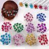 high quality100pcs/ 5Bottle/ Pack Wedding Bride Elegant and Sweet Hairpin Decoration Hair Accessories, Rose U-shaped Rhinestone Hair Fork Set,