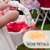 2200 Pcs Wedding Petals Flower Girl Silk Rose Party Favors Table Decorations Decorative Artificial Romantic