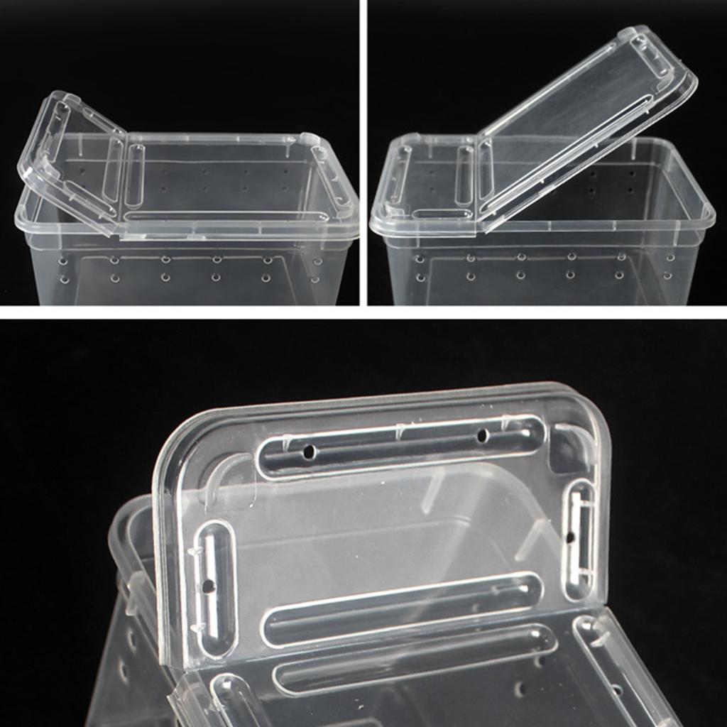 Reptile Breeding Box Lizard Tarantula Habitat Cage Hatching Container for Gecko Insect Tortoise