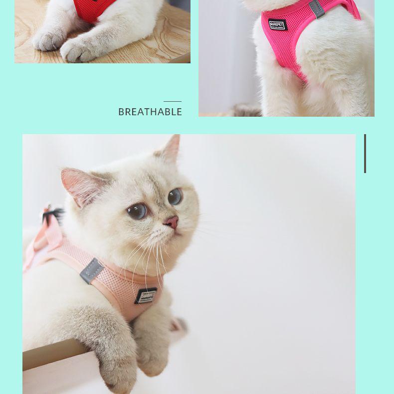 Escape-Proof Cat & Small Dog Harness Leash - Outdoor Walking Rope for Teddy & Bichon Frise