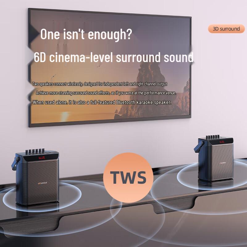 SANSUI Portable Outdoor Karaoke Bluetooth Speaker