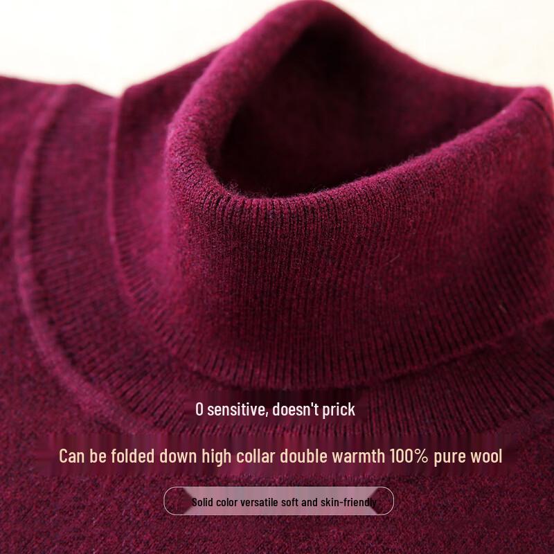 JOW Men's Pure Wool Turtleneck Sweater