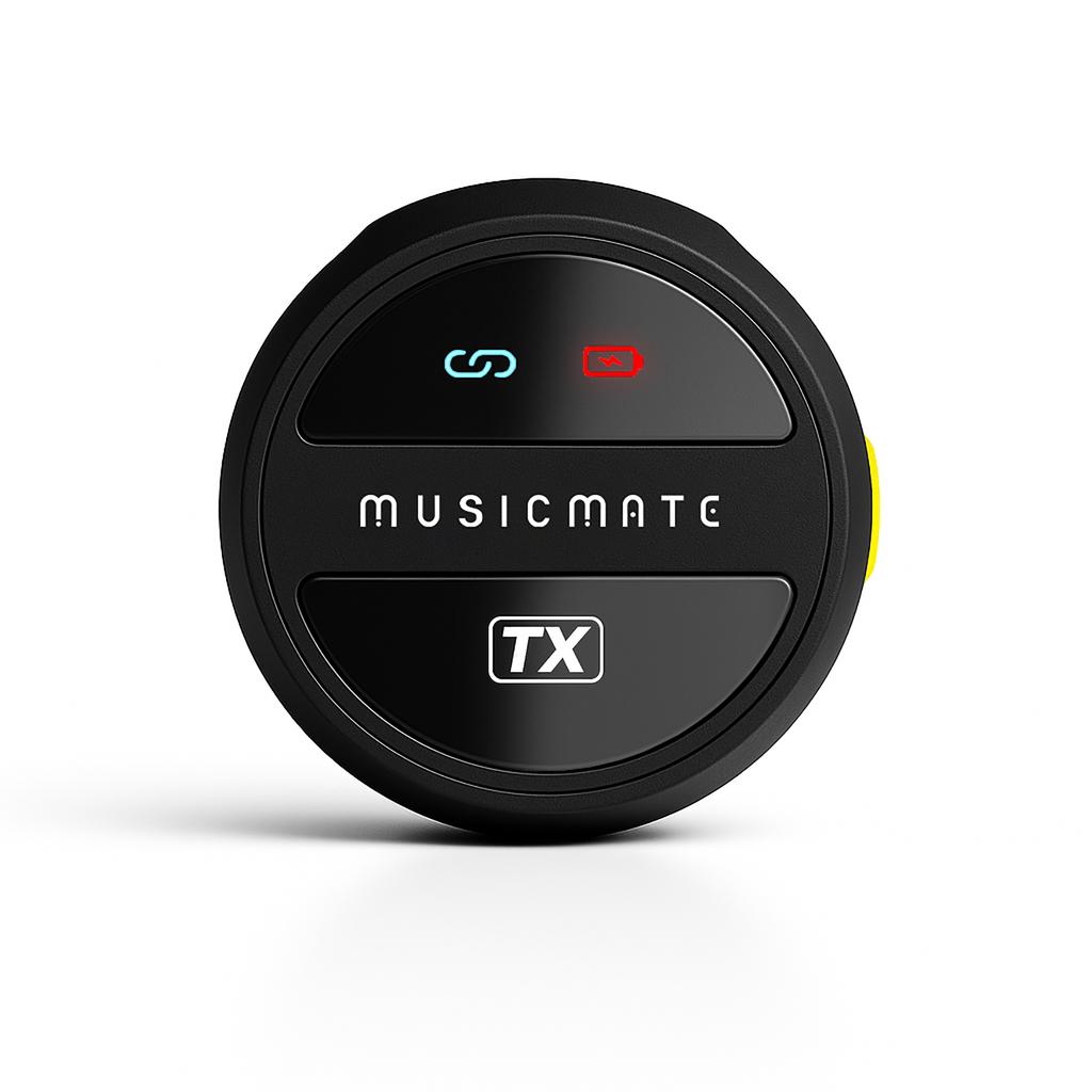 MusicMate MM-110 EchoVibe Microphone