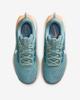 DV3865-010 Nike Pegasus Trail 5 Cannon Mink Brown Orange Chalk Soft (Women's)