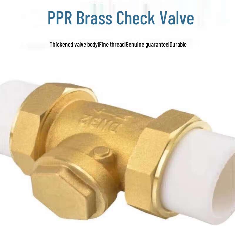 Hufan PPR Brass Double Union Horizontal Check Valve