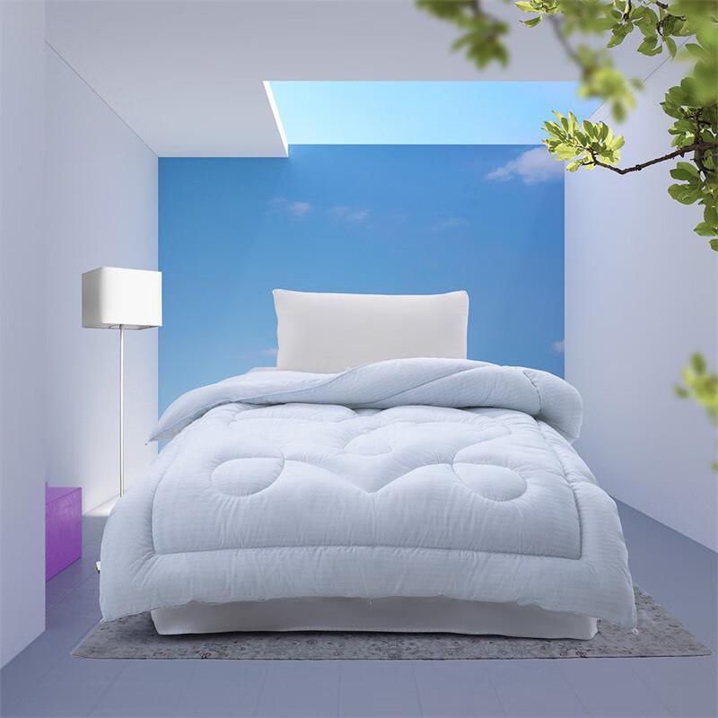 

Mercury Home Textiles DH Blank Youth All-Season Duvet Insert