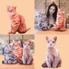 Cat Simulation 3d Plush Stuffed Toy Animal Doll Room Decoration Birthday Gift