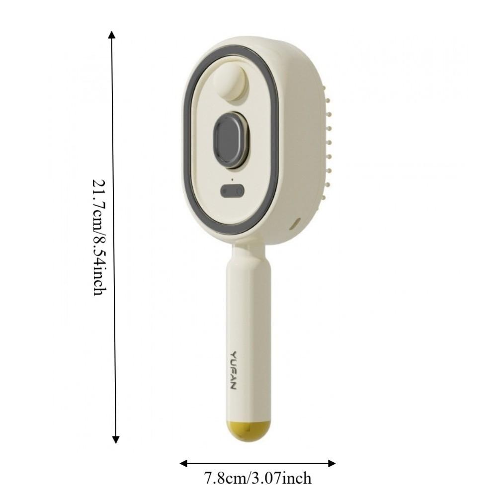 Multi-Function Electric Spray Hair Brush Hair Care 2-In-1 Misting Hair Brush  Gift