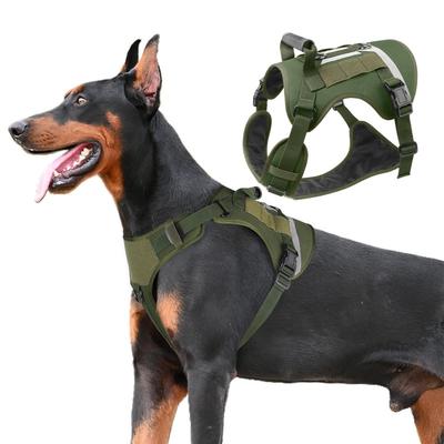 Honden – Halsbanden en hondenriemen