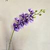 Flower Artificial Butterfly Orchid Wedding Hotel Restaurant Desktop Ornament