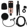 Condenser Microphone Kit with Tripod Stand USB Plug Recording Mic Live Broadcast Equipment