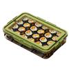 Food Storage Box Snack Box Container with Lid Large Capacity BPA Free Transparent Design Easy to Clean Divided Serving Tray