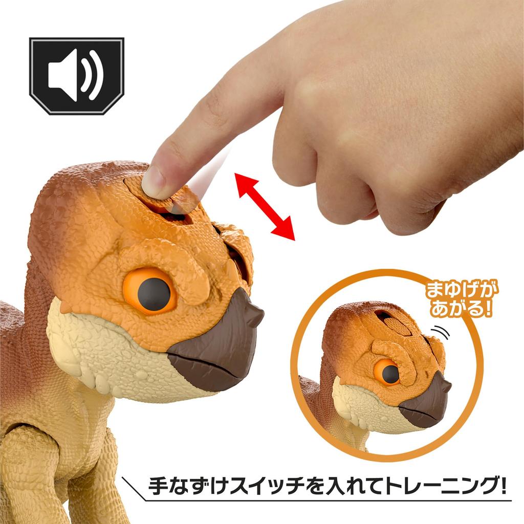 Mattel Jurassic World Taming Aquilops Dinosaur Figure with Sound 20cm Ages Brown JGC01 Training! Food, & Action, Approx. Tall, 4+,