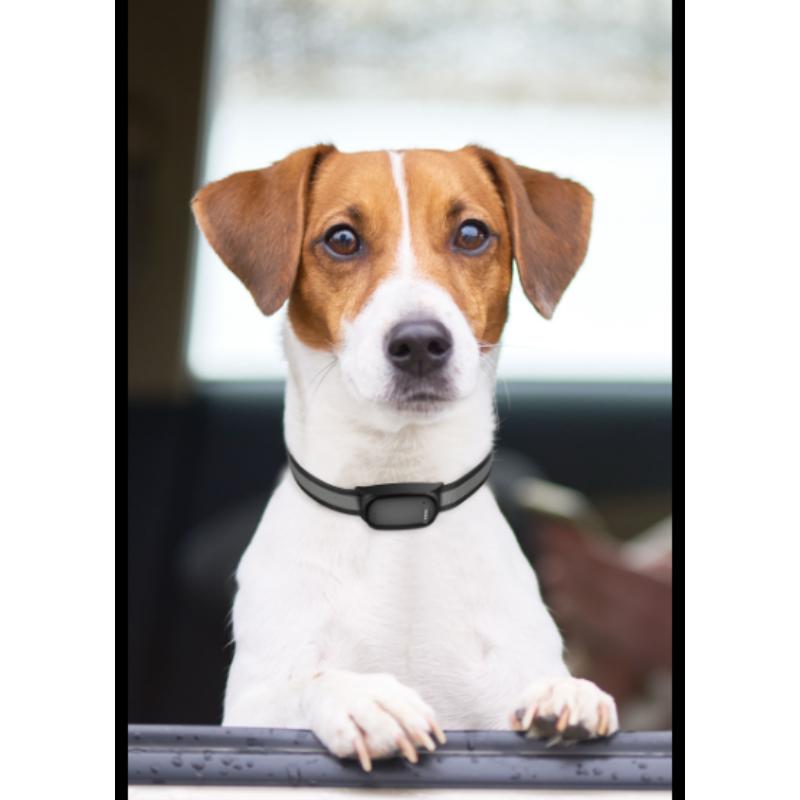 New Multi-function Locator Pet Cat Anti-lost Device GPS+ WIFI Gps Navigation tracker Smart Dog Collar Pet tracker for Waterproof