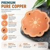 Outdoor Garden Bird Bath Copper Disk Reusable Water Basin Maintenance Accessory for Wild Bird Drinking and Bathing Areas