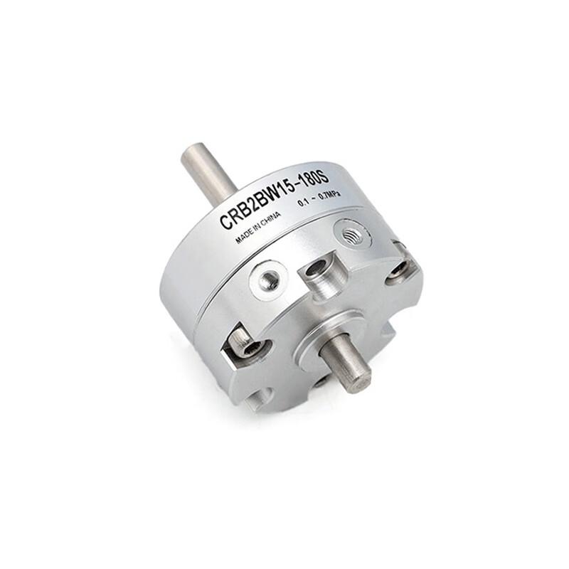 XINGGUAN Vane Type Rotary Cylinder