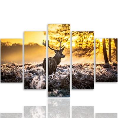 Lienzo de cinco piezas Impresión de lienzo Ciervo Bosque Atardecer