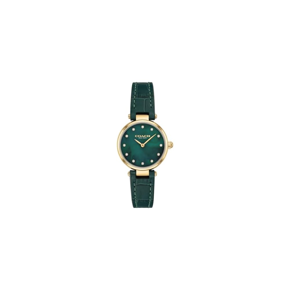Coach Park Women s Watch Dark Green Dial Dark Green Leather Strap 14503534